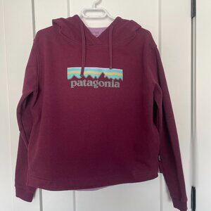 Patagonia Uprisal Hoody